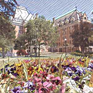 绿帽男再次给娇妻找黑人
